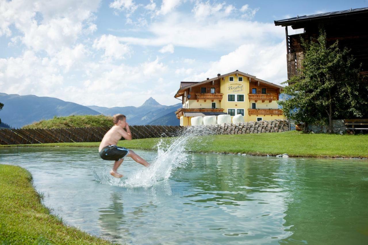 Appartements Luegeck Hollersbach im Pinzgau Luaran gambar